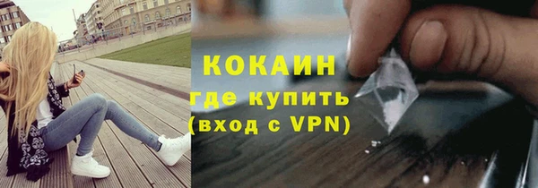 PSILOCYBIN Инта