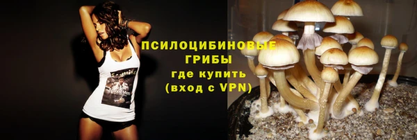 PSILOCYBIN Инта
