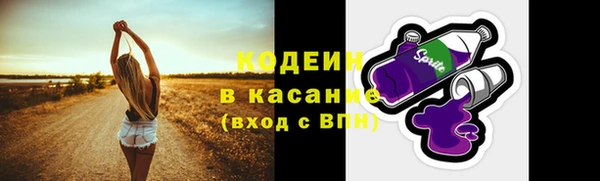 PSILOCYBIN Инта
