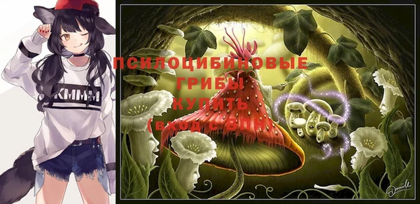 PSILOCYBIN Инта