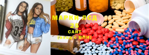 PSILOCYBIN Инта