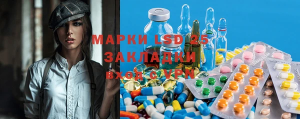 PSILOCYBIN Инта
