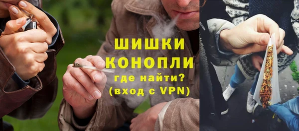 PSILOCYBIN Инта
