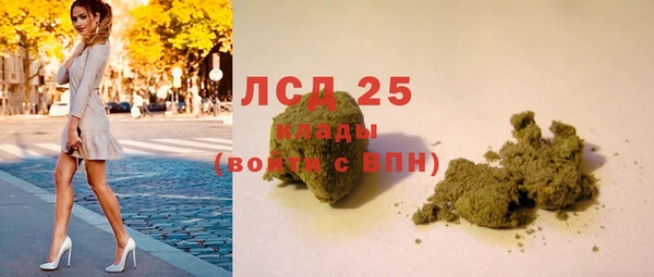 PSILOCYBIN Инта