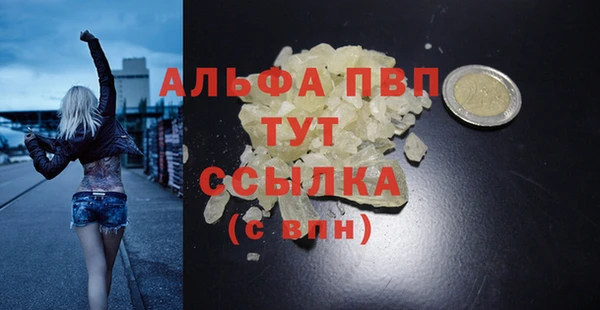PSILOCYBIN Инта