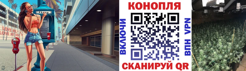 Купить закладки  Миасс  Канабис Amnesia 
